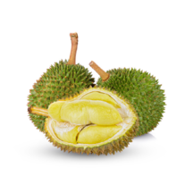 Durian-Frucht